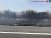 Brand - Freifläche, A81 Richtung Heilbronn, 23.08.2022